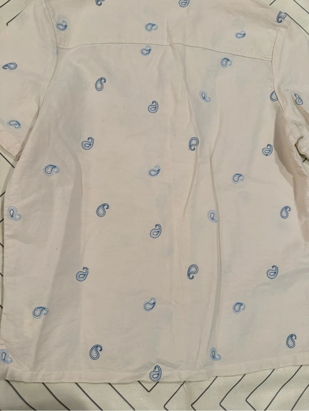 Gingersnaps Cream Short Sleeve Button Down